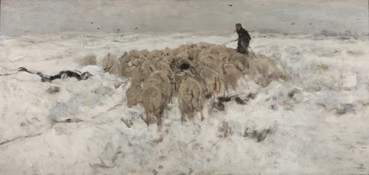 Flock of Sheep in the Snow